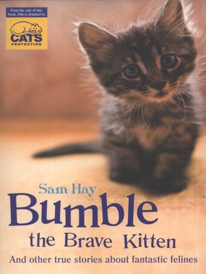 cover image of Bumble the brave kitten